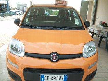 Fiat Panda 1.2 EasyPower Lounge NATA GPL DALLA CASA FIAT GARANZIA UN ANNO KM 76131,00