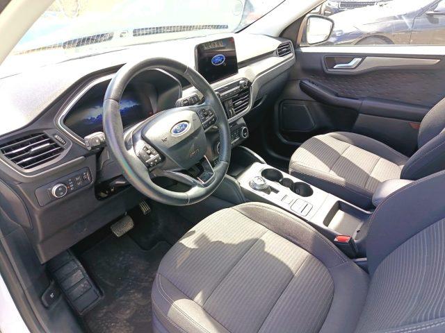 FORD Kuga 1.5 EcoBlue 120 CV aut. 2WD Titanium Business