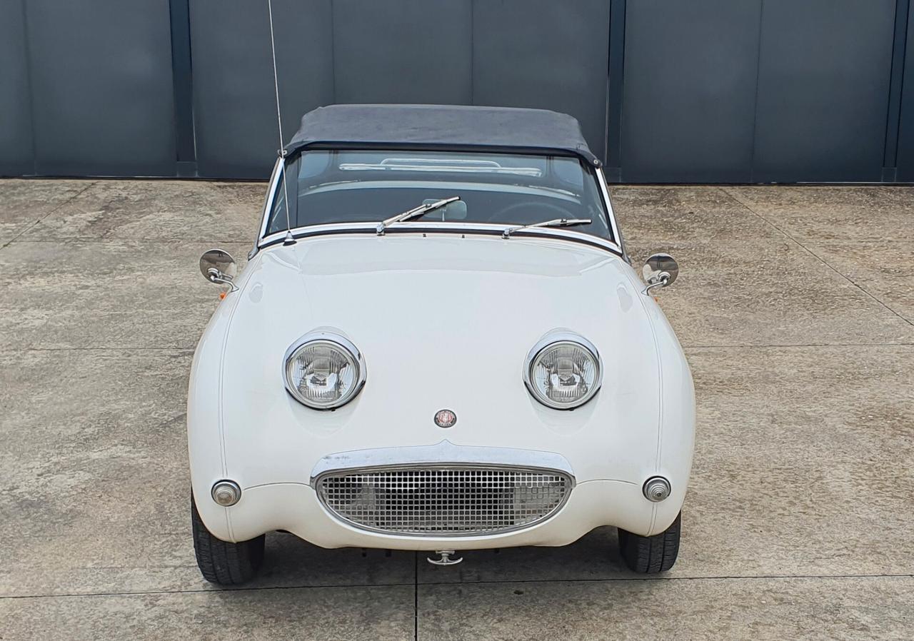 Austin Healey SPRITE FROG