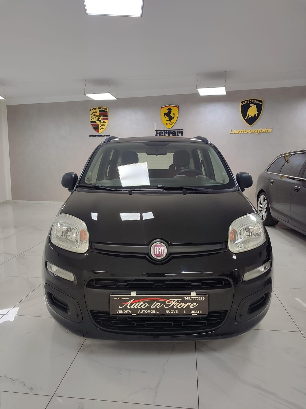 FIAT PANDA 1.2 BENZINA USATO GARANTITO