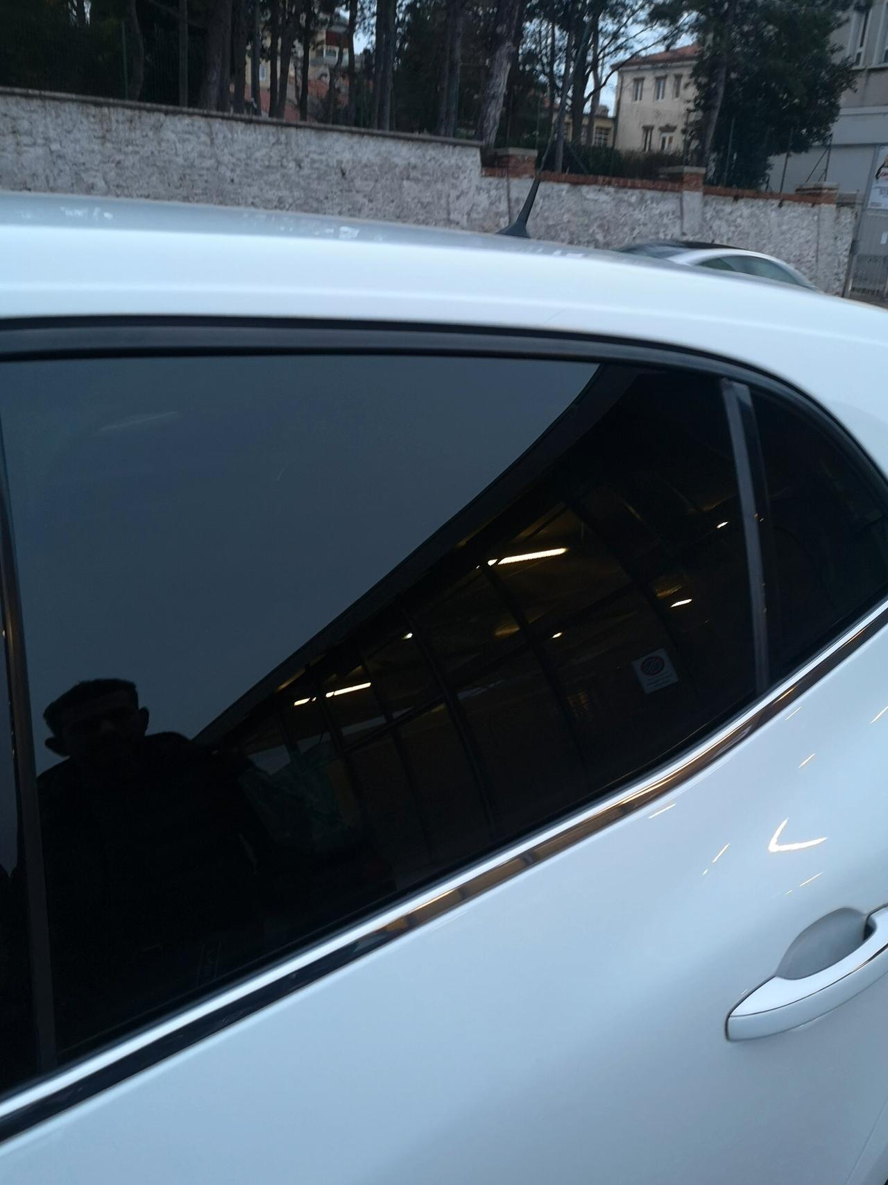 Renault Megane Mégane dCi 110CV - 2017