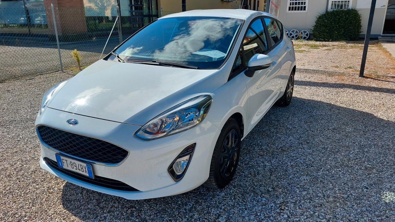 Ford Fiesta 1.1 85 CV 5 porte Plus