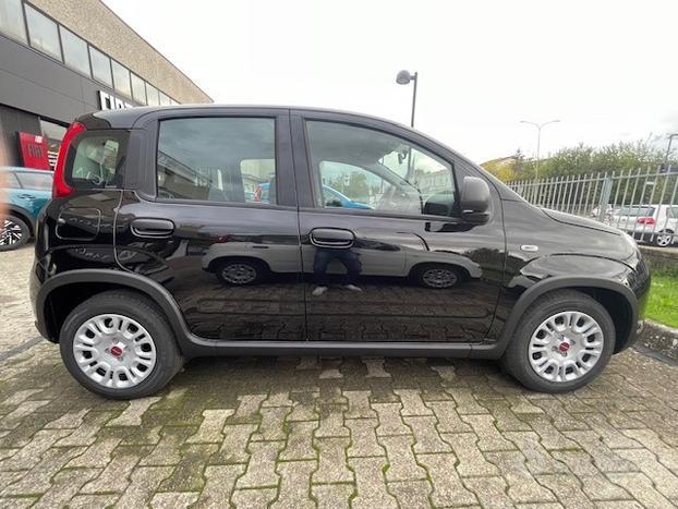 FIAT Panda 1.0 70cv Hybrid Panda N71487