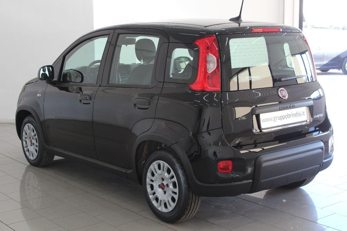 FIAT - Panda - 1.0 FireFly S&S Hybrid Launch Ed.