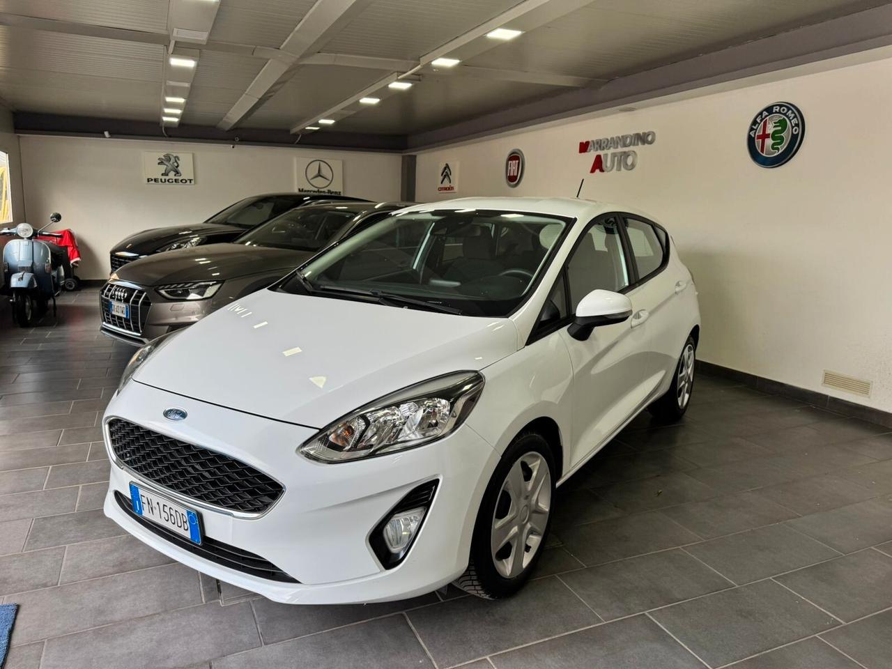 Ford Fiesta 1.1 5 porte Plus