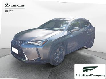 Lexus UX Hybrid Executive