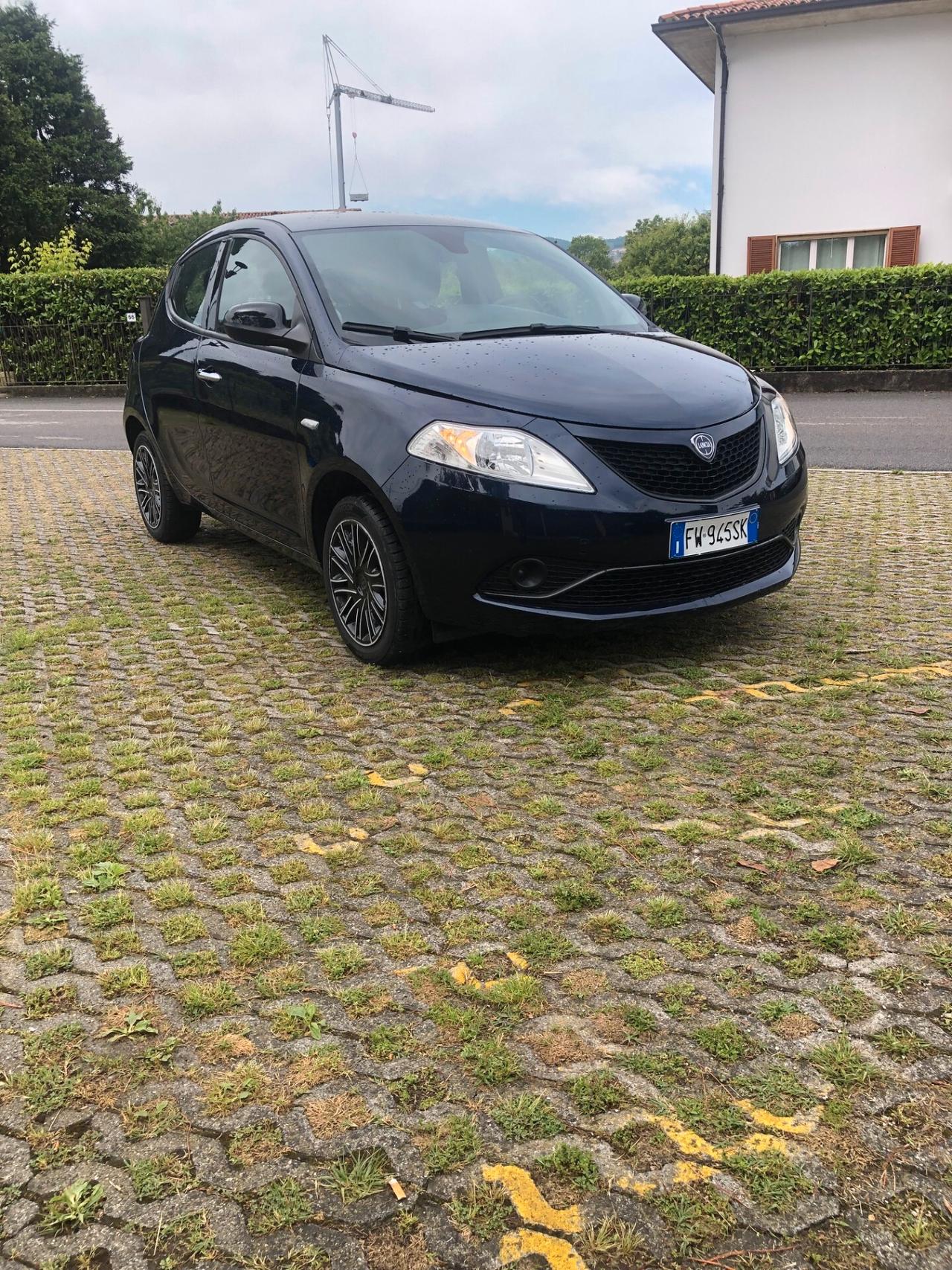 Lancia Ypsilon 1.2 69 CV 5 porte Elefantino Blu