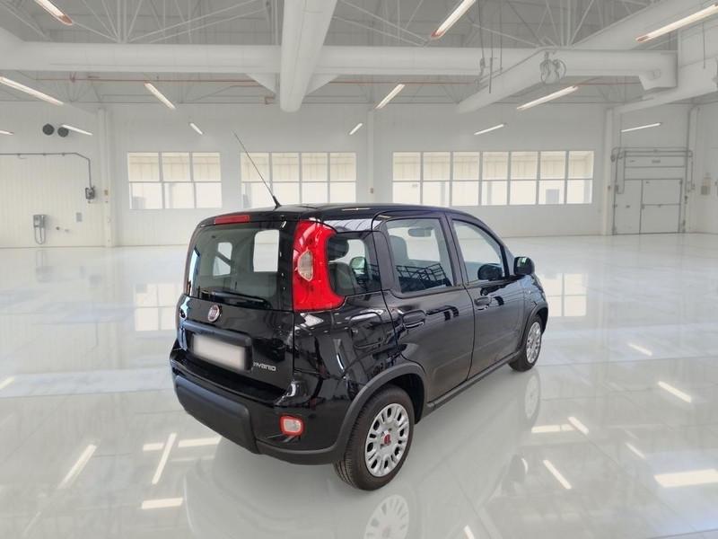 FIAT PANDA 1.0 FireFly 70cv S/S Hybrid 5 PORTE