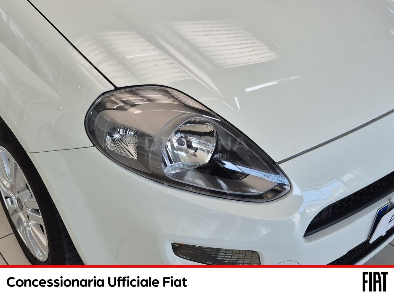 Fiat Punto 5p 1.2 street (easy)