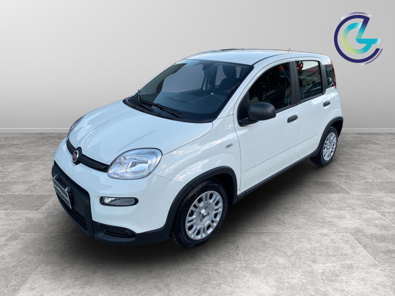 FIAT Panda III 2024 - Panda 1.0 firefly hybrid s&s 70cv