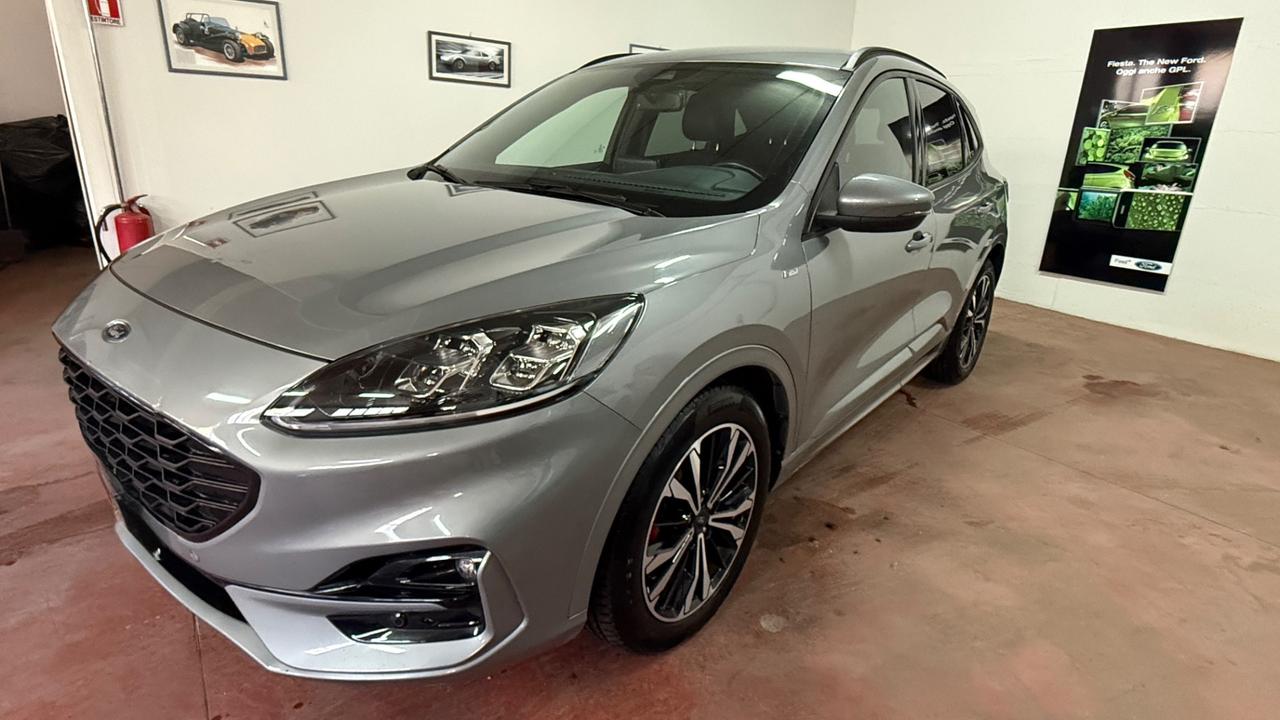 Ford Kuga 2.0 EcoBlue Hybrid 150 CV 2WD St Line X
