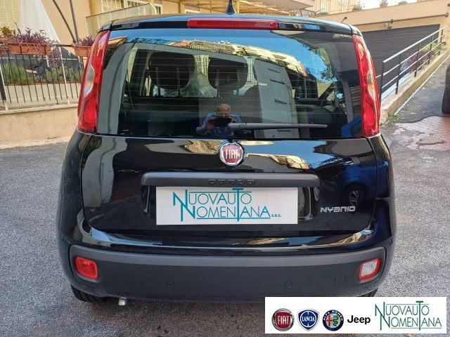 FIAT Panda 1.0 FireFly S&S Hybrid Icon 5°Posto Auto Nuova