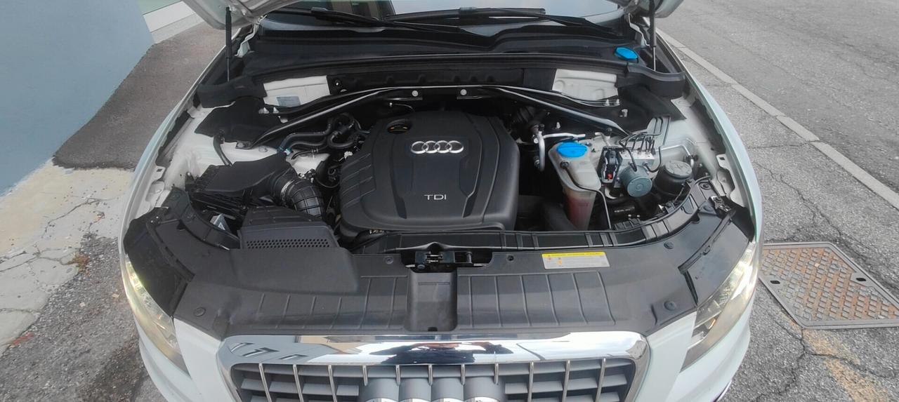 Audi Q5 2.0 TDI 170 CV quattro S tronic Advanced Plus