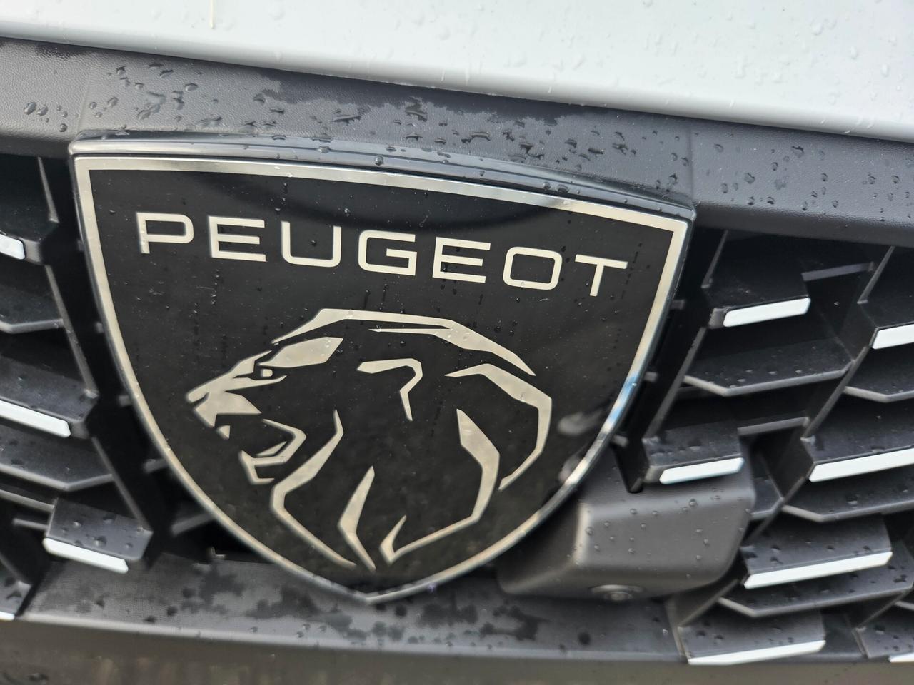 Peugeot 208 ALLURE 100 CV KM/0 NESSUN OBBLIGO FINANZIARIO !!