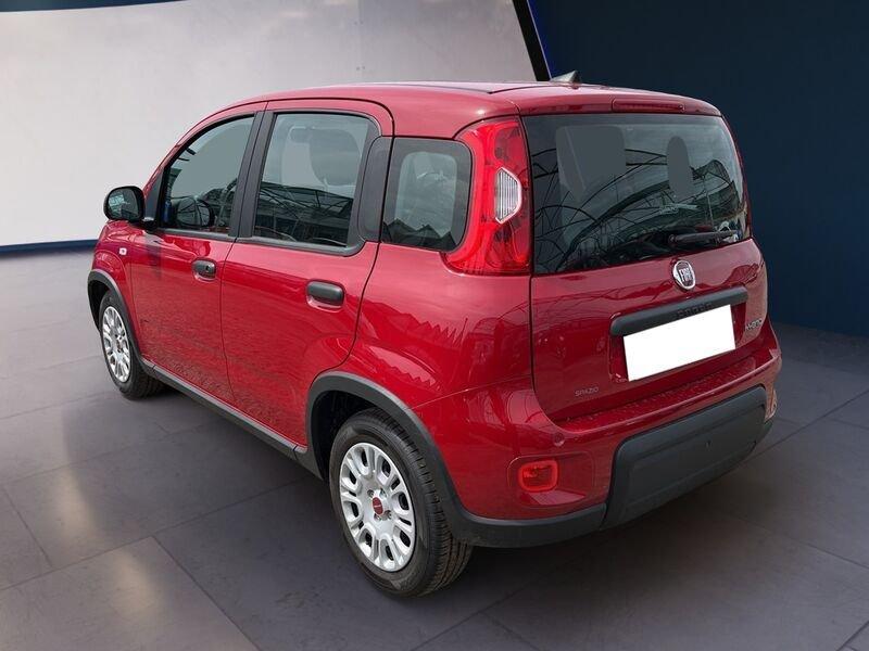 FIAT Panda My24 1.0 70cv Hybrid Panda