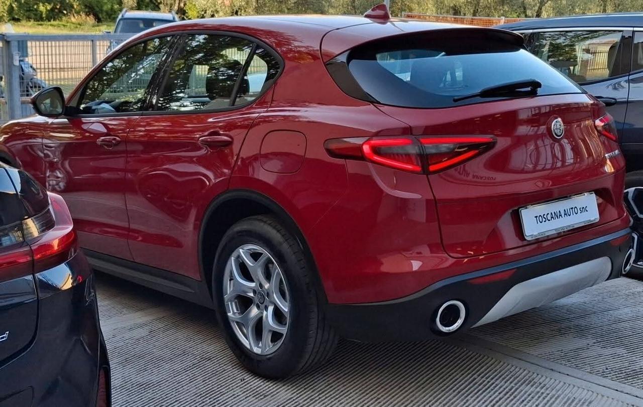 Alfa Romeo Stelvio 2.2 160 CV AT8 Sedili in pelle