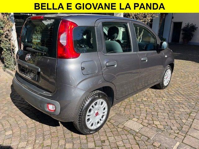 FIAT Panda 1.2 Benzina Neopatentati