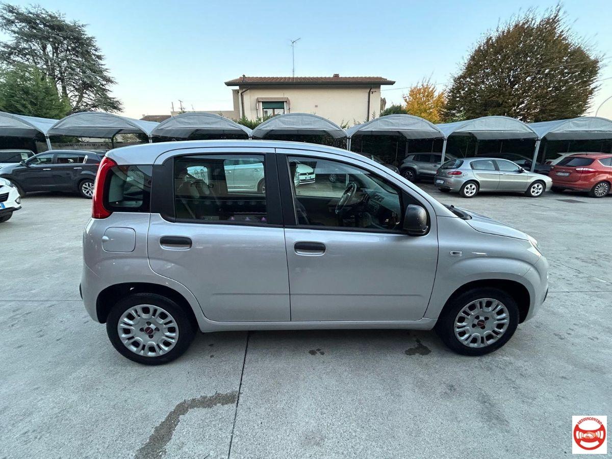 FIAT - Panda 1.2 Easy s&s 69cv my19