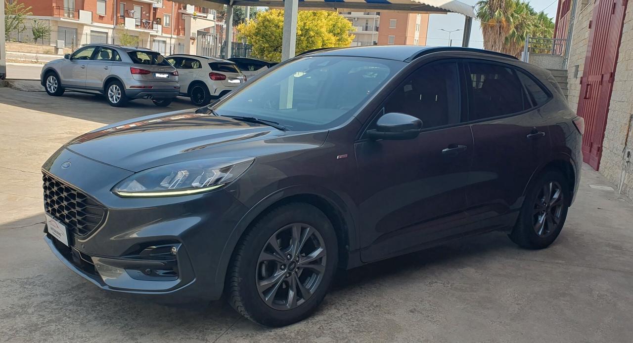 Ford Kuga 1.5 EcoBlue 120 CV aut. 2WD ST-Line