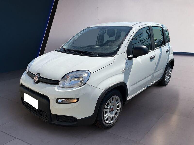FIAT Panda My23 1.0 70cv Hybrid Panda