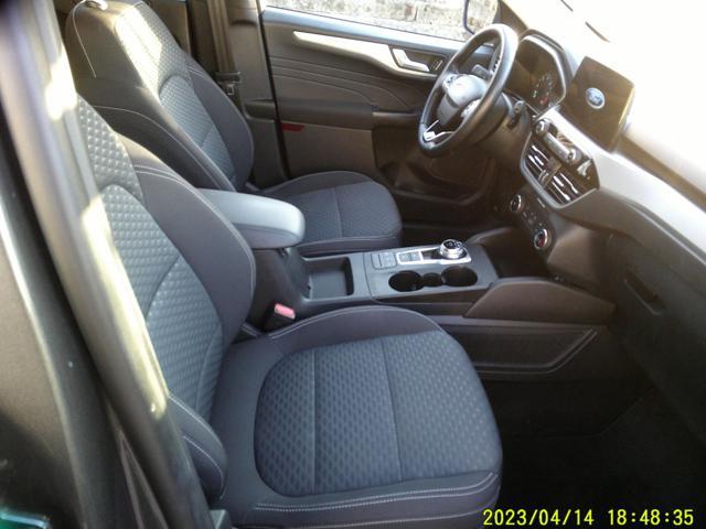 FORD Kuga 1.5 EcoBlue 120 CV aut. 2WD Titanium Business