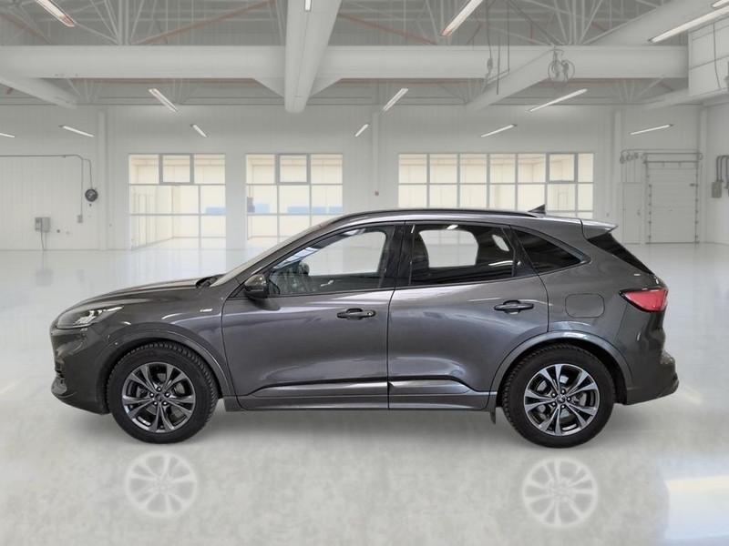FORD KUGA 1.5 EcoBlue 120CV 2WD ST-Line X Auto
