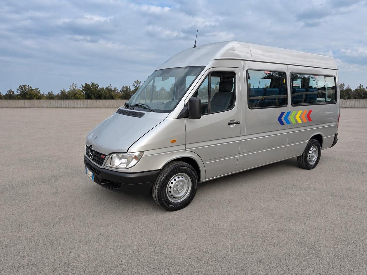 Mercedes Sprinter 311 - 9 Posti Trasporto Disabili