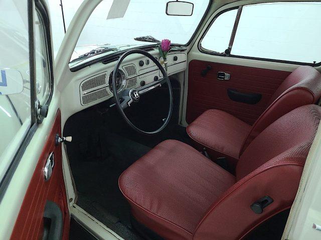 VOLKSWAGEN Maggiolino Vetro Piatto