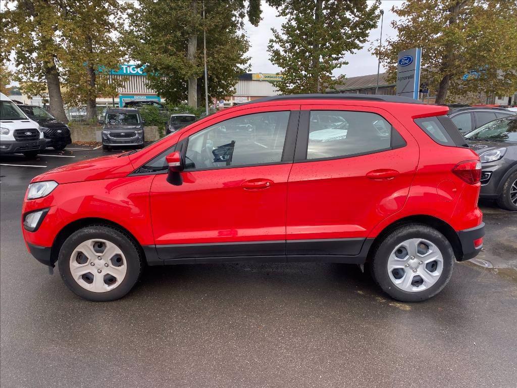 FORD EcoSport 1.0 ecoboost Plus s&s 125cv del 2019
