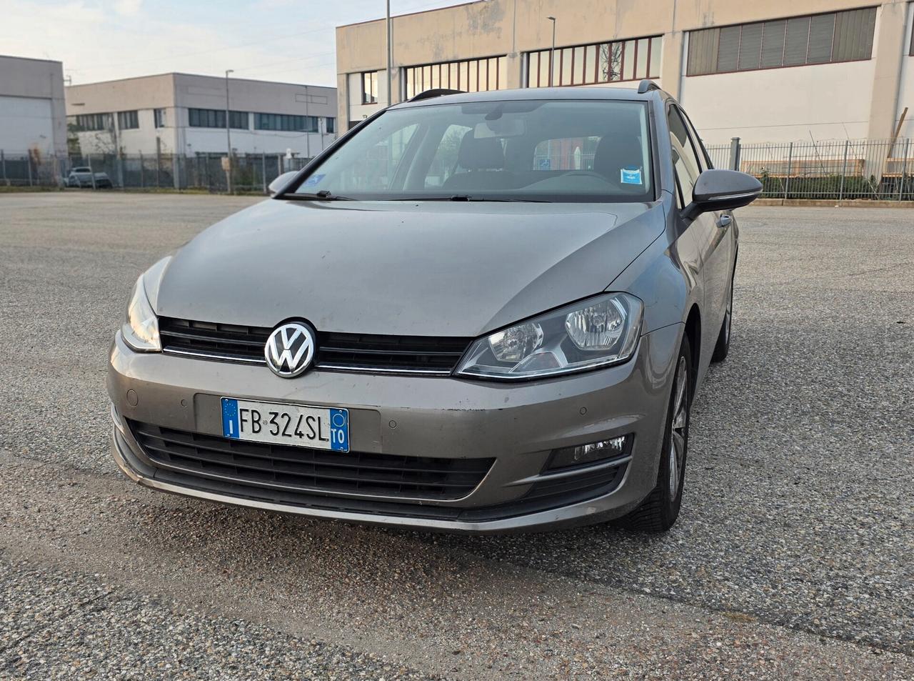 Volkswagen Golf Variant 1.6 TDI 110 CV DSG Highline