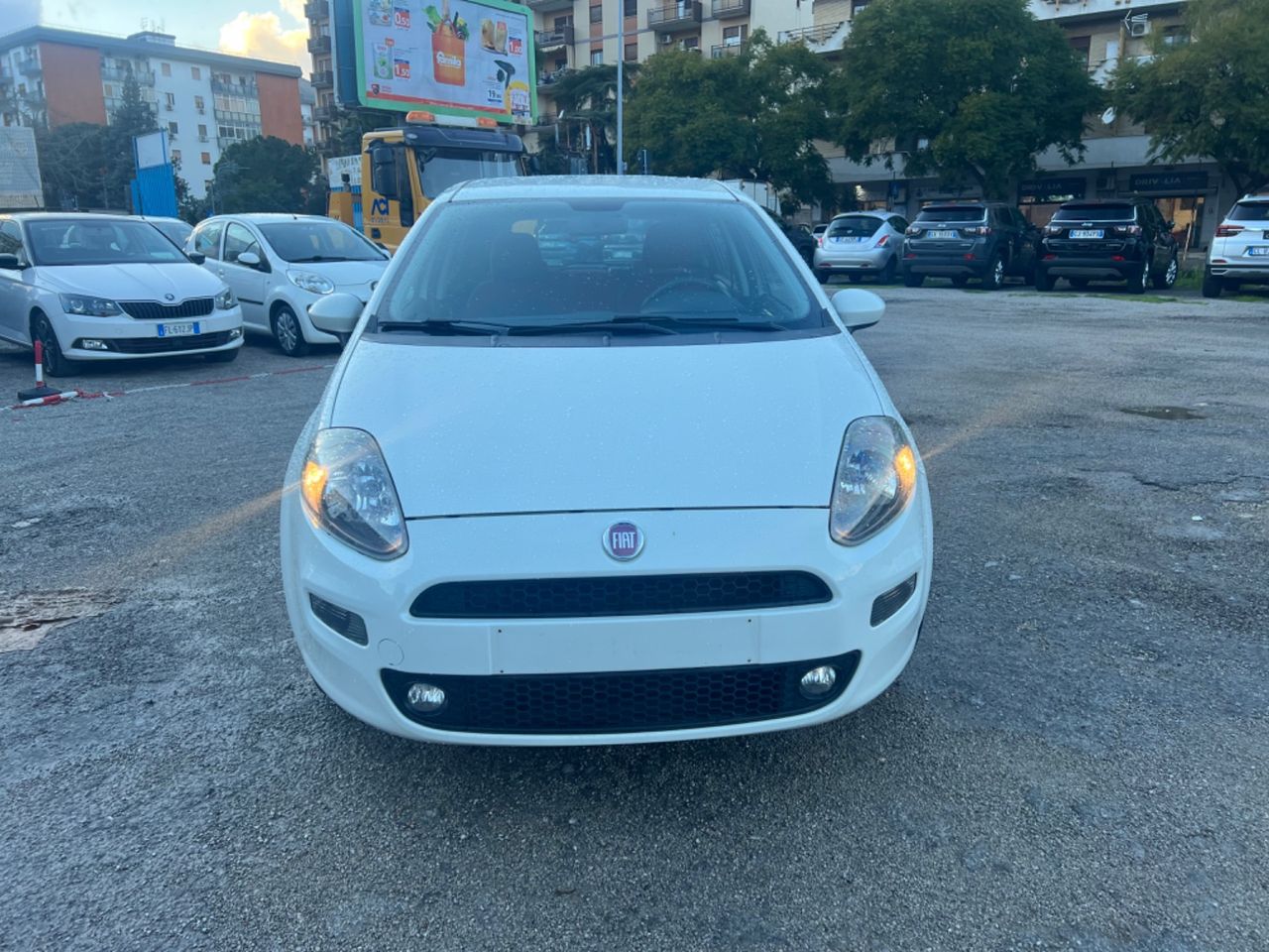 Fiat Punto Evo Punto Evo 1.4 5 porte cambio automatico