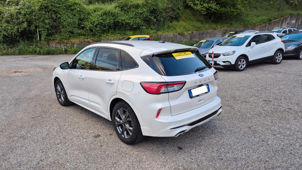 Ford Kuga 1.5 EcoBlue 120CV 2WD ST-Line X - 2021