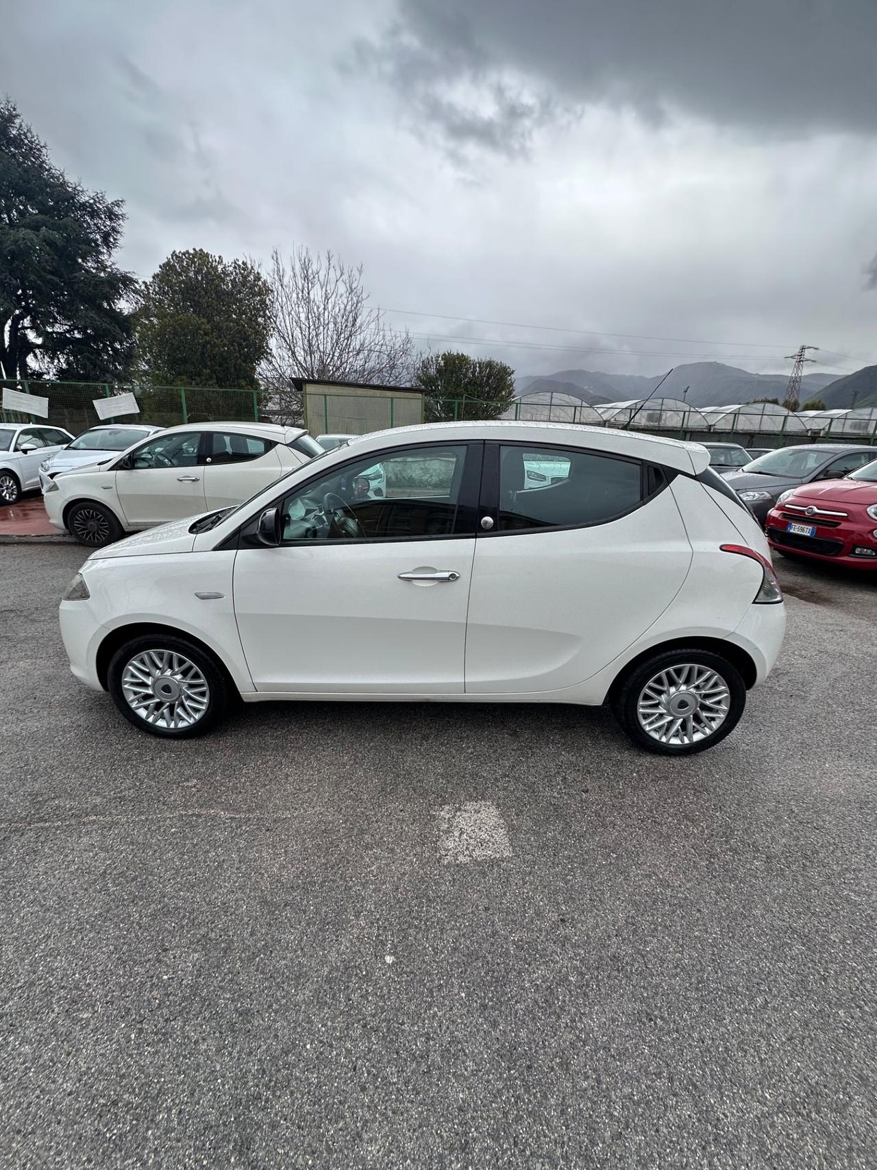 Lancia Ypsilon 1.2 69 CV 5 porte GPL Ecochic Platinum