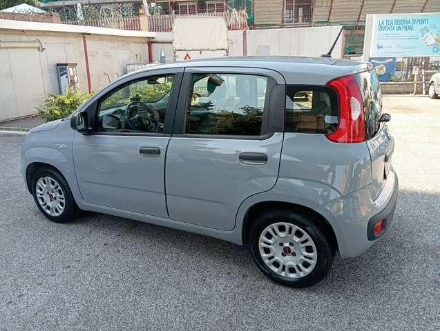 Fiat Panda Panda III 2016 1.0 hybrid Easy s
