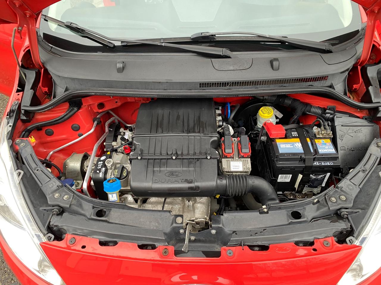 Ford Ka Ka+ 1.2 8V 69CV NEOPATENTATI!!!