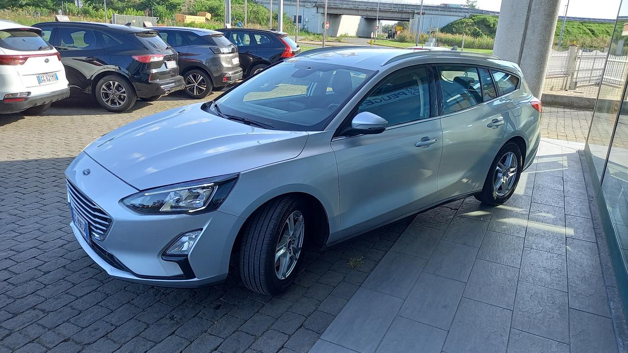 Ford Focus 1.5 EcoBlue 120 CV automatico SW Business Co-Pilot