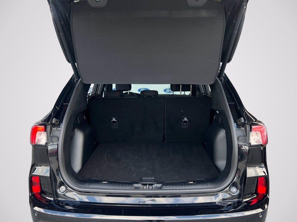 FORD Kuga 1.5 ecoboost ST-Line 2wd 150cv del 2023