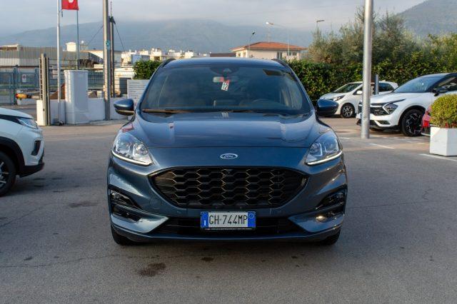 FORD Kuga 1.5 EcoBlue 120 CV aut. 2WD ST-Line