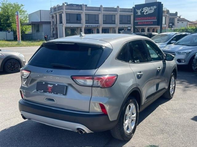 Ford Kuga 1.5 EcoBlue 120 CV aut. 2WD Titanium Business