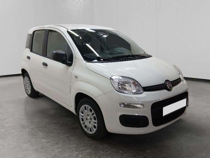 FIAT Pandina 1.0 firefly hybrid Icon s&s 70cv 5p.ti