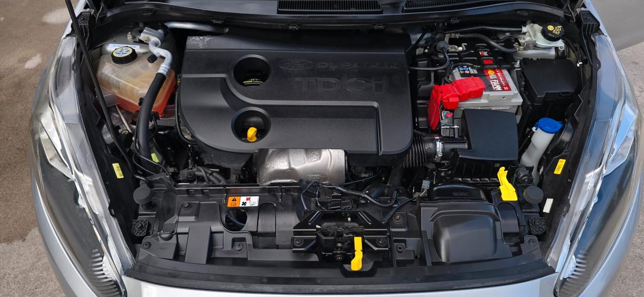 Ford Fiesta 1.5 TDCi 75CV 5 porte