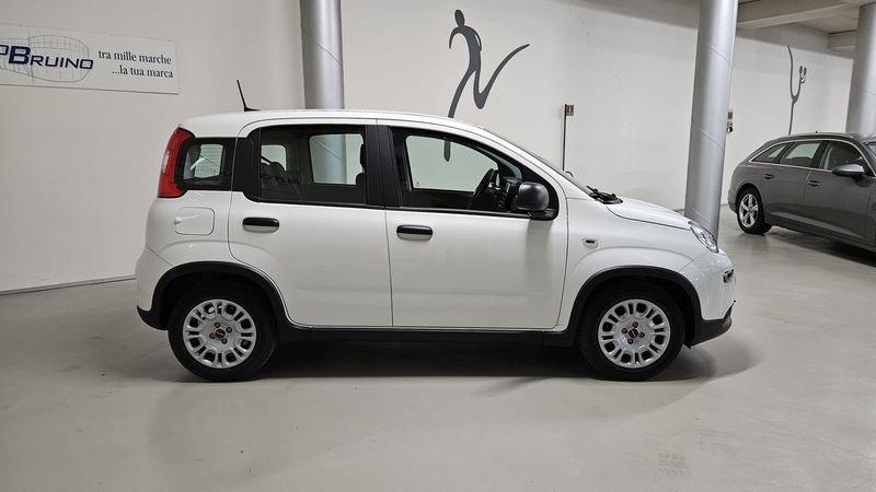 FIAT Panda 1.0 FireFly S&S Hybrid con Fidelity Free