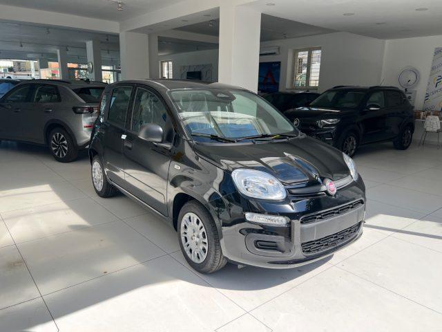 FIAT Panda 1.0 FireFly S&S Hybrid Icon tua da ?149,,00