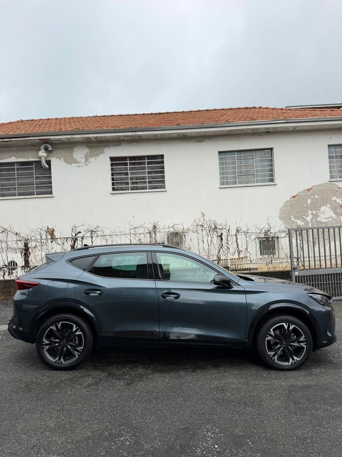 Cupra Formentor 2.0 TDI DSG TRIBE EDITION
