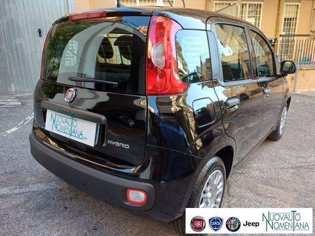 FIAT Panda 1.0 FireFly S&S Hybrid Icon 5°Posto Auto Nuova
