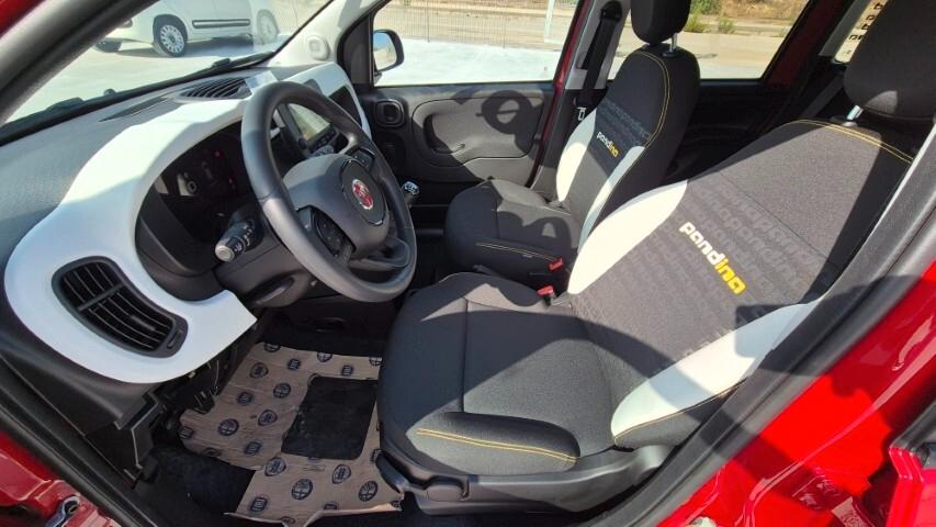 Fiat Panda Pandina 1.0 FireFly 65 CV Hybrid Cross - KM0 2026