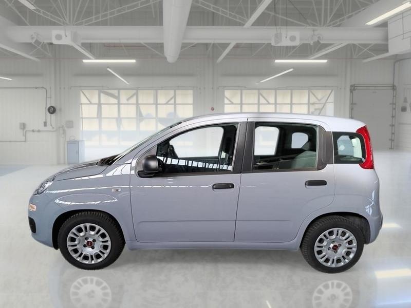FIAT PANDA 1.0 FireFly 70cv S/S Hybrid 5 PORTE