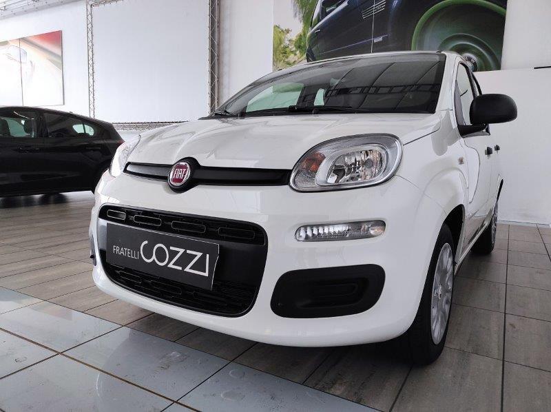 FIAT Panda 3ª serie - Panda 1.0 FireFly S&S Hybrid Icon