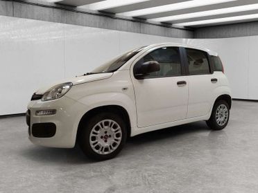 FIAT Panda 1.2 Easy s&s 69cv my19