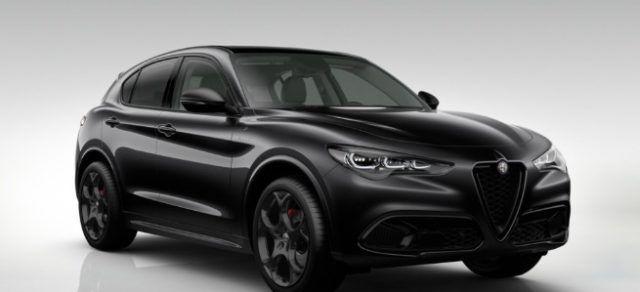 ALFA ROMEO Stelvio 2.2 Td 210 CV AT8 Q4 Veloce Tetto Pan. Cerchi21